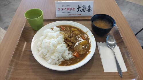 肉じゃがカレー.JPG